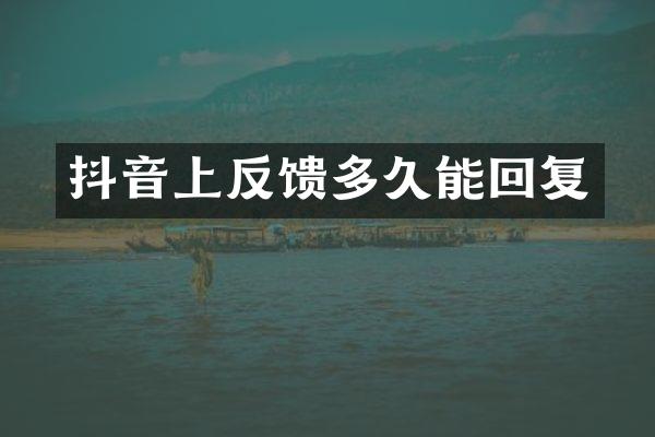 抖音上反馈多久能回复