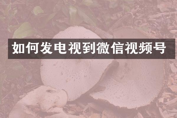 如何发电视到微信视频号
