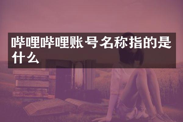 哔哩哔哩账号名称指的是什么