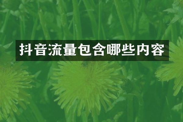 抖音流量包含哪些内容