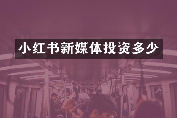 小红书新媒体投资多少