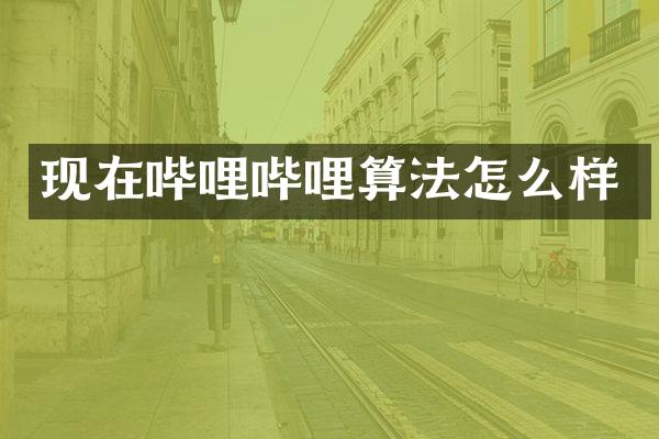 现在哔哩哔哩算法怎么样
