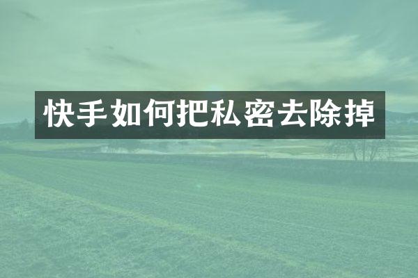快手如何把私密去除掉
