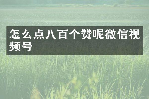 怎么点八百个赞呢微信视频号