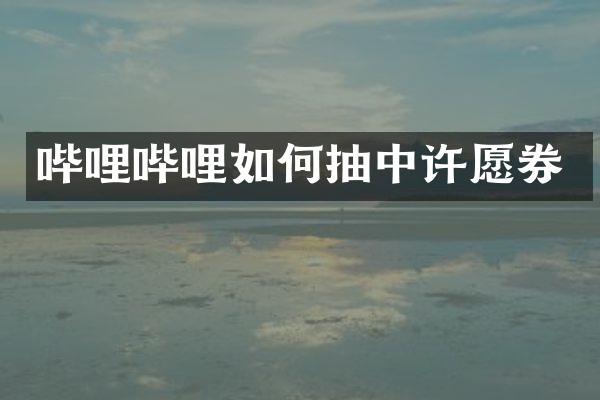 哔哩哔哩如何抽中许愿券