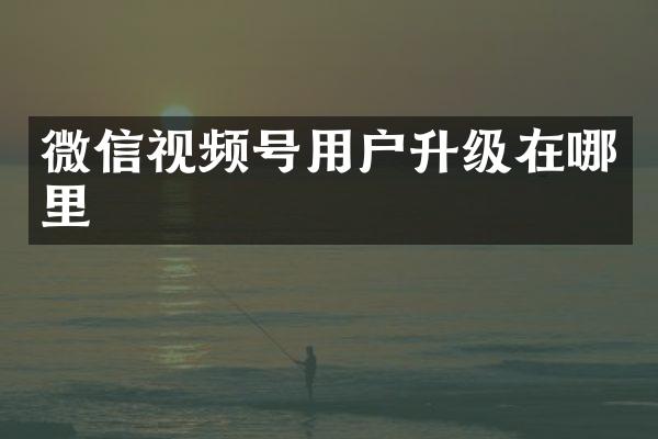 微信视频号用户升级在哪里