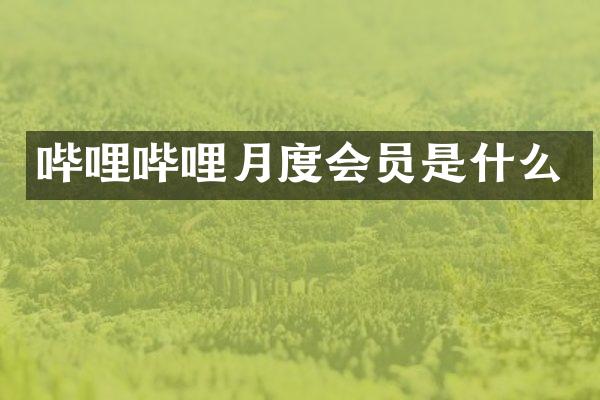 哔哩哔哩月度会员是什么