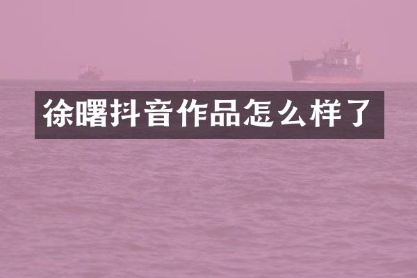 徐曙抖音作品怎么样了