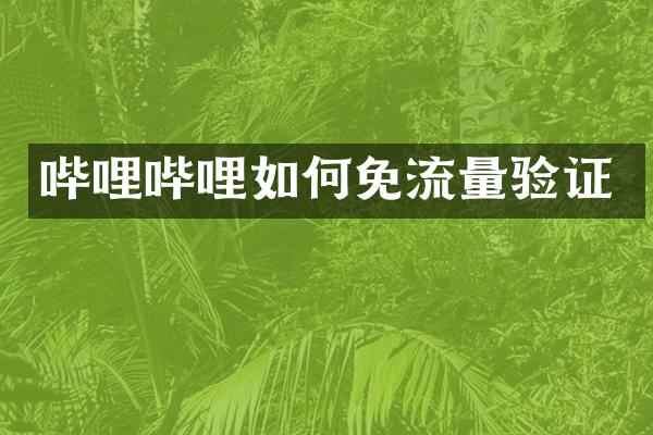 哔哩哔哩如何免流量验证
