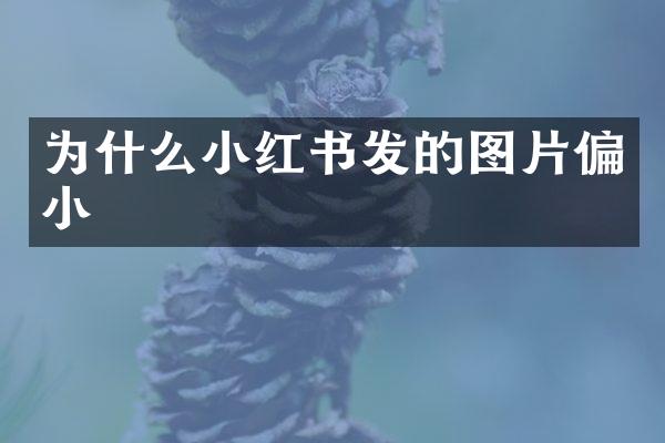 为什么小红书发的图片偏小