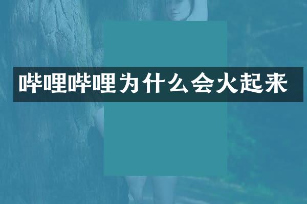 哔哩哔哩为什么会火起来