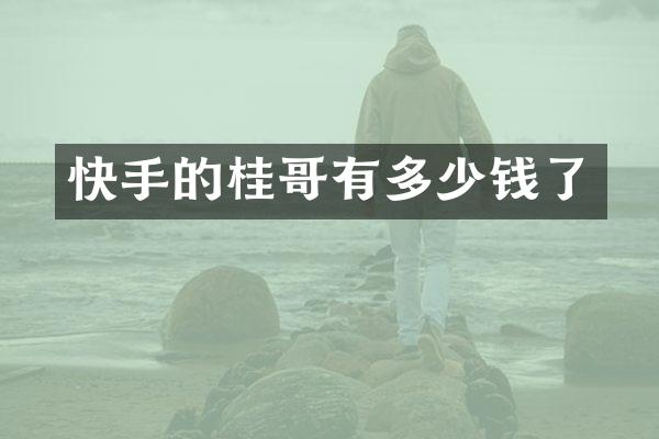 快手的桂哥有多少钱了