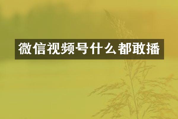 微信视频号什么都敢播