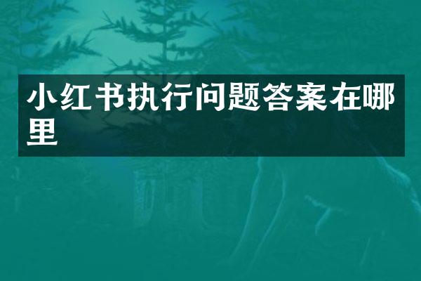 小红书执行问题答案在哪里
