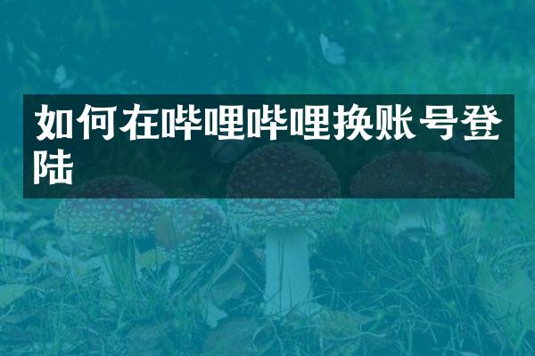 如何在哔哩哔哩换账号登陆