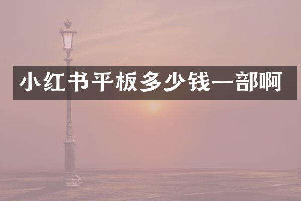 小红书平板多少钱一部啊