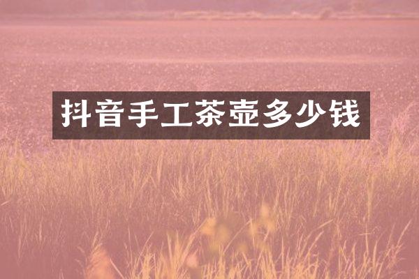 抖音手工茶壶多少钱