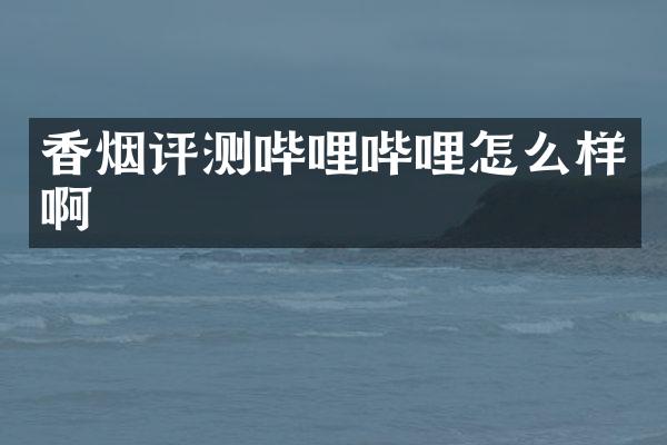 评测哔哩哔哩怎么样啊