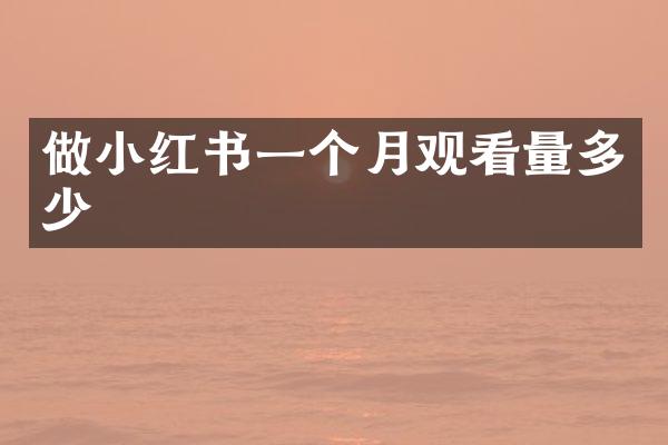 做小红书一个月观看量多少