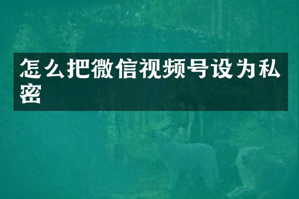 怎么把微信视频号设为私密