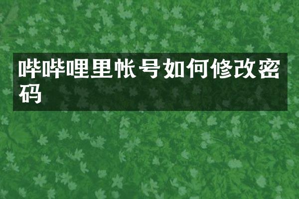 哔哔哩里帐号如何修改密码