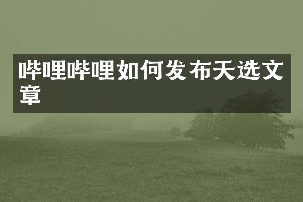 哔哩哔哩如何发布天选文章