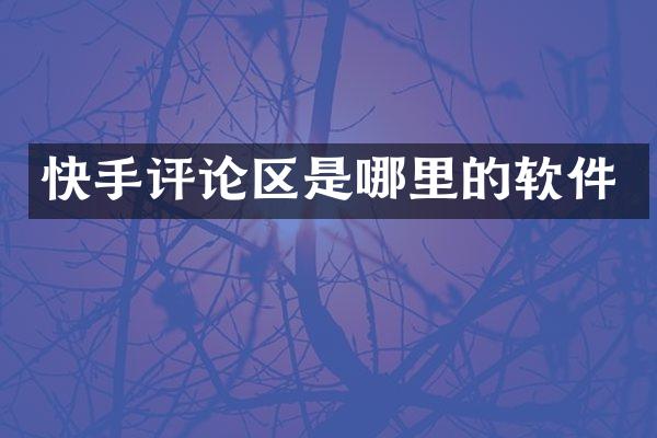 快手评论区是哪里的软件