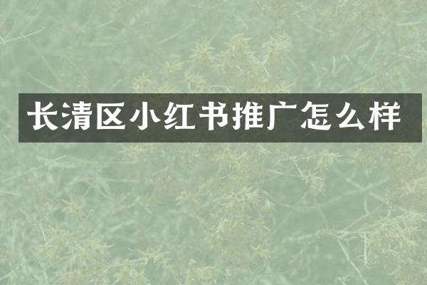 长清区小红书推广怎么样