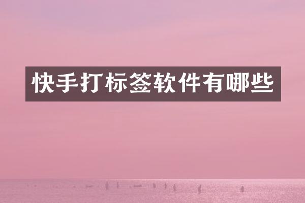 快手打标签软件有哪些