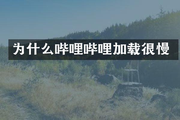 为什么哔哩哔哩加载很慢