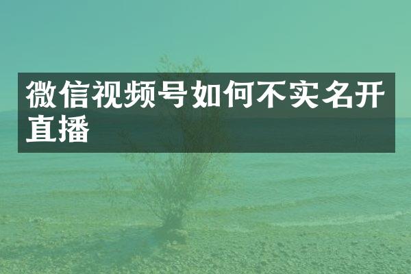 微信视频号如何不实名开直播