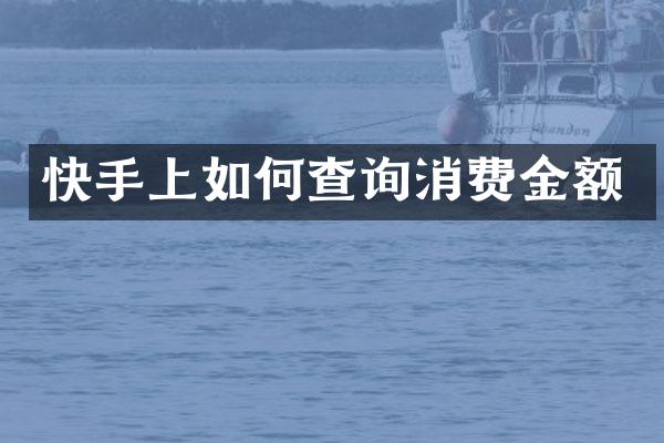 快手上如何查询消费金额
