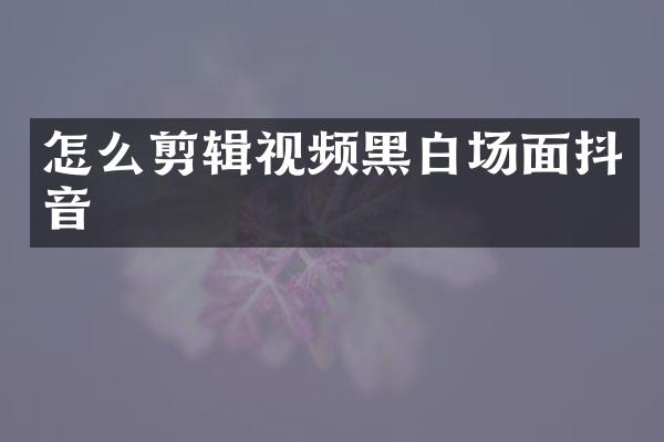 怎么剪辑视频黑白场面抖音