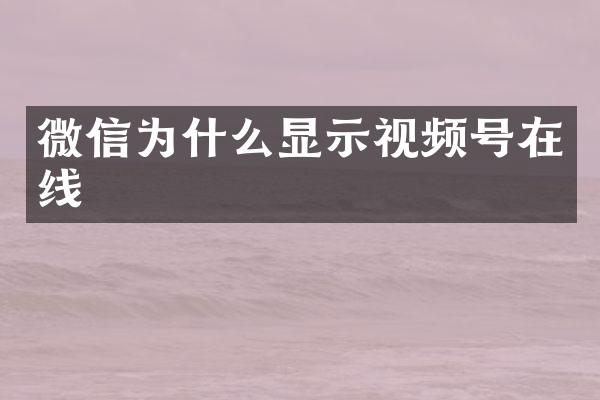 微信为什么显示视频号在线