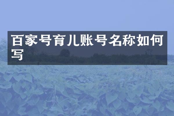 百家号育儿账号名称如何写