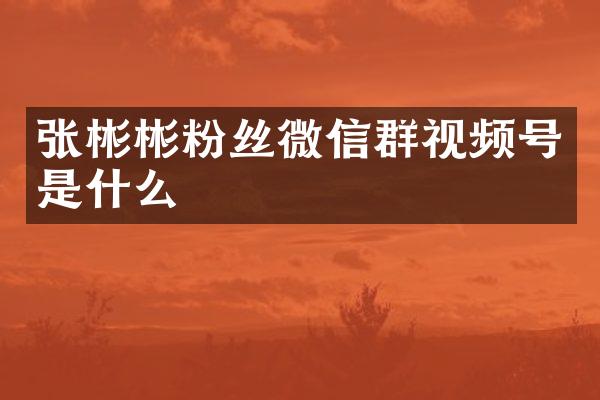 张彬彬粉丝微信群视频号是什么