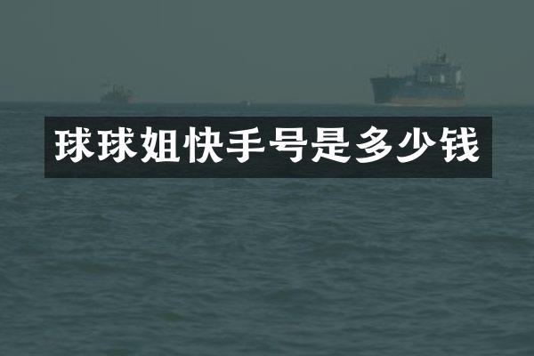 球球姐快手号是多少钱