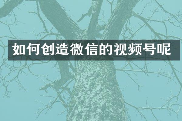 如何创造微信的视频号呢