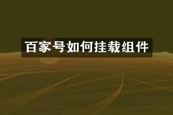 百家号如何挂载组件