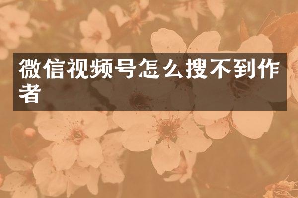 微信视频号怎么搜不到作者