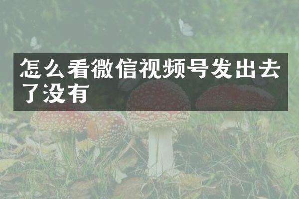 怎么看微信视频号发出去了没有