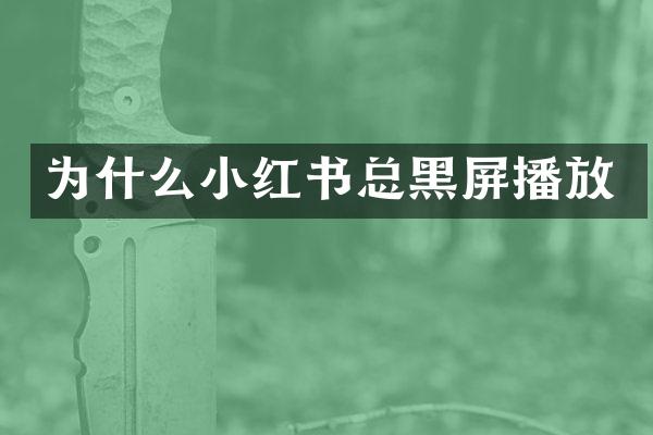 为什么小红书总黑屏播放