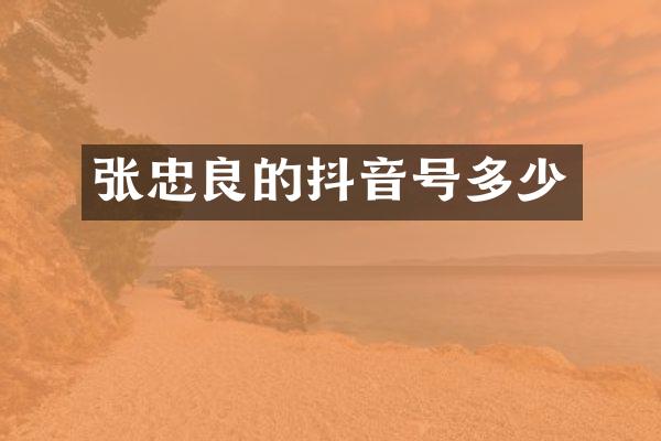 张忠良的抖音号多少