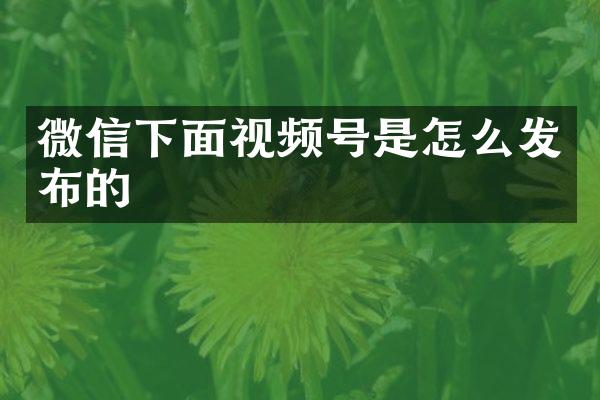 微信下面视频号是怎么发布的