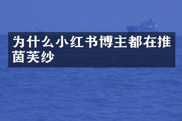 为什么小红书博主都在推茵芙纱