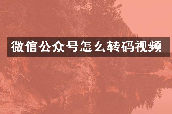 微信公众号怎么转码视频