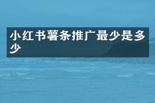 小红书薯条推广最少是多少