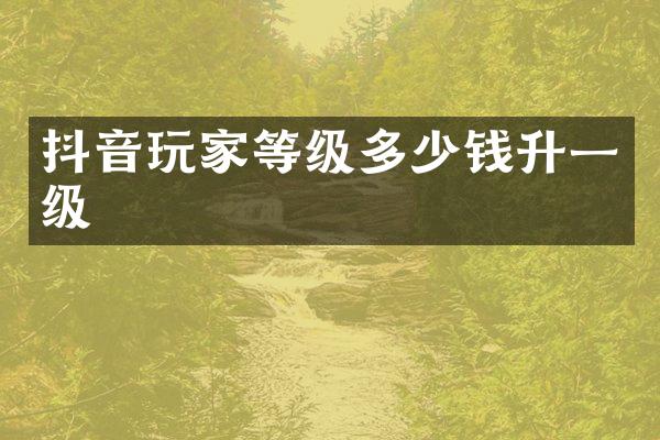 抖音玩家等级多少钱升一级