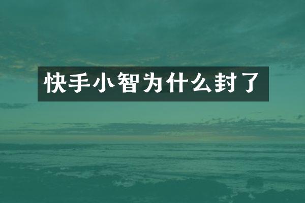 快手小智为什么封了