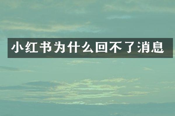 小红书为什么回不了消息